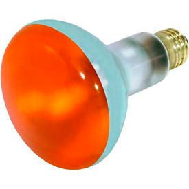 75w Incandescent Bulb with Medium Base