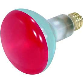 75w Incandescent W/ Medium Base Bulb