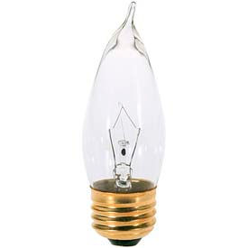 25W Incandescent Bulb with Medium Base and 120V Voltage
