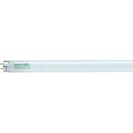 25w Fluorescent W/ Medium Bi-Pin Base - Cool White Bulb