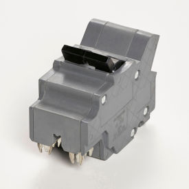 Circuit Breaker Type UBIF Thick 2-Pole 100A