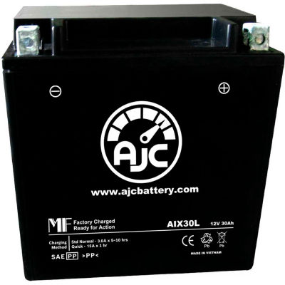 AJC Battery Yuasa YIX30L-BS Battery, 30 Amps, 12V, B Terminals