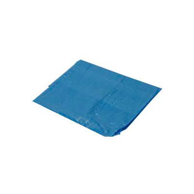 6' x 10' Light Duty 2.9 oz. Tarp, Blue - B6x10
