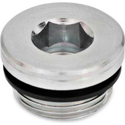 J.W. Winco GN 749 Threaded Pipe Plugs, Steel, Zinc Plated, with NBR Synthetic Rubber Seal, G 3/4