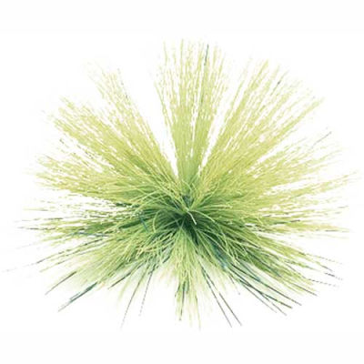 16" Stiff Bristle Brush