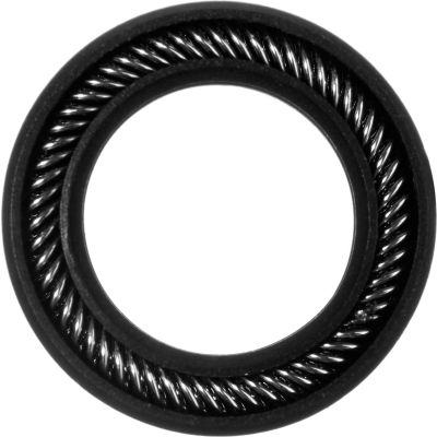 Graphite Filled PTFE Spring Energized Rod Seal for 1.5" Rod or 1.75" Piston Bore