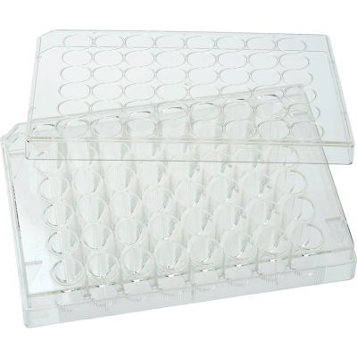 CELLTREAT® 48 Well Tissue Culture Plate with Lid, Individual, Sterile