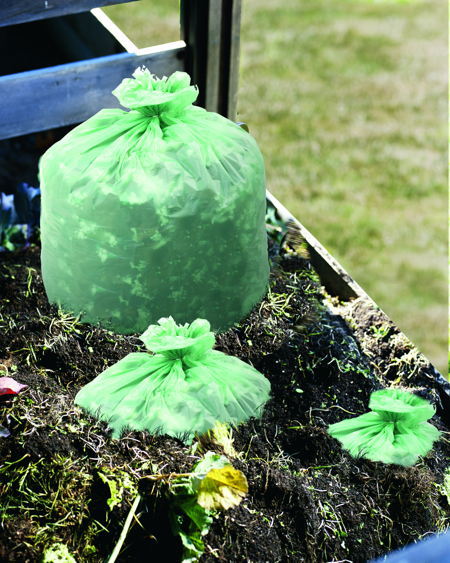 ASTM 6400 Compostable Bag, Green, 33 x 48, Heavy Duty, 50/CS