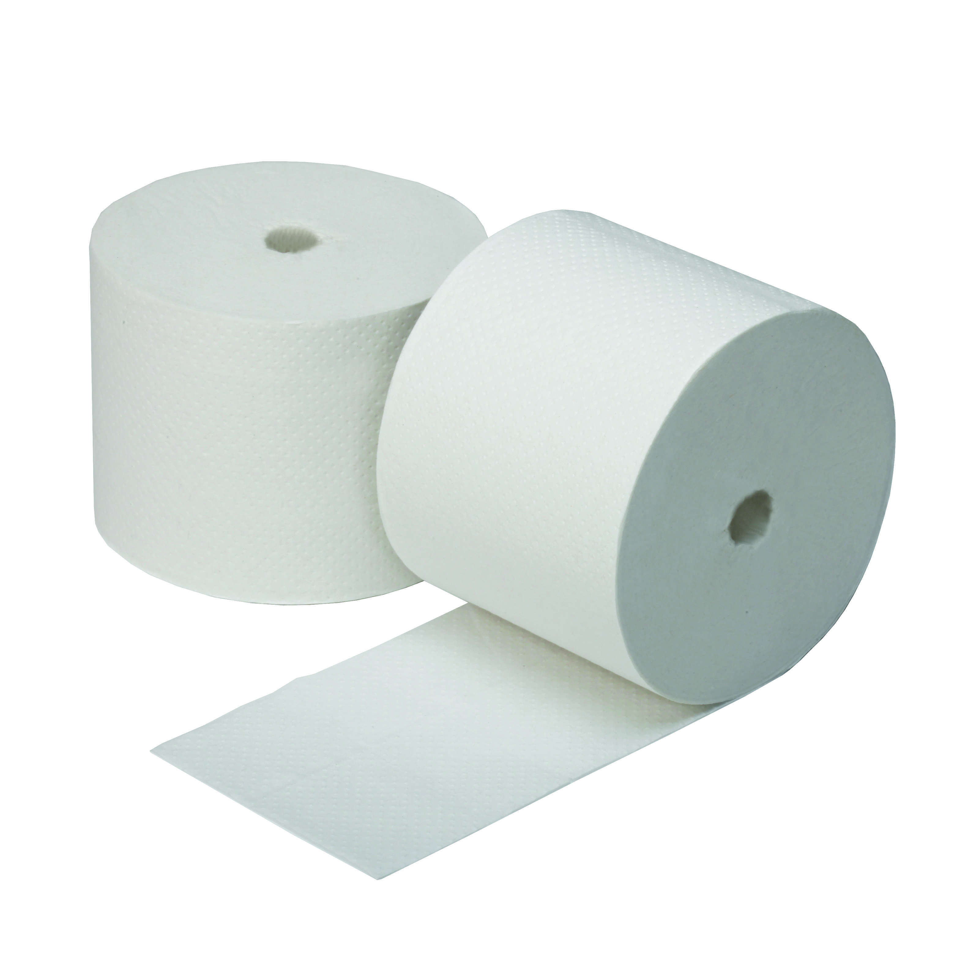 Coreless 2-Ply Toilet Tissue - 3.85 x 4.05 - White - 1000 sheets per rolls - 36 rolls/CS