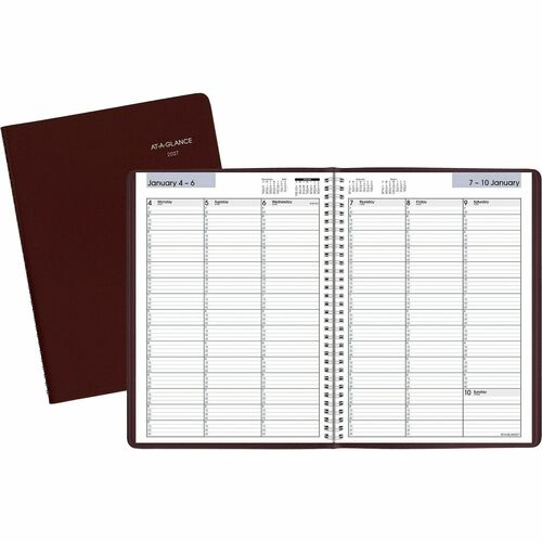 Professional Weekly Appointment Book, Jan-Dec, 8" x 11", By