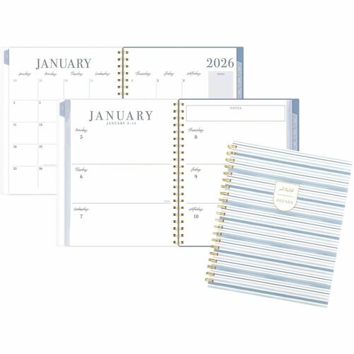 Planner, Ciara Stripe, Weekly/Monthly, 12 Month, Jan-Dec, 8-1/2" x 11"