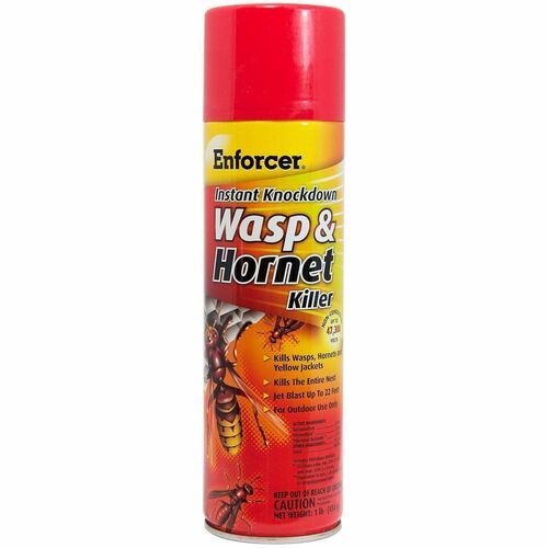 Insecticide, F/Wasp/Hornets, 16 Ounce, Clear 12/CT