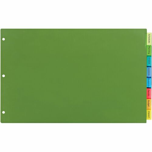 Dividers, 8 Insertable Big Tabs, 17" x 11", Multi