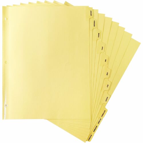 Indexes, Plastic Tabs, Monthly, 3HP, 8-1/2" x 11", Buff