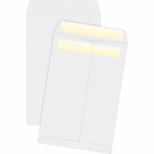 Envelope, Catalog, Self Seal, 6x9 100/BX