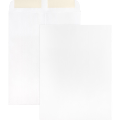 Catalog Envelopes, Plain, 28 Lb., 9" x 12", White 250/BX