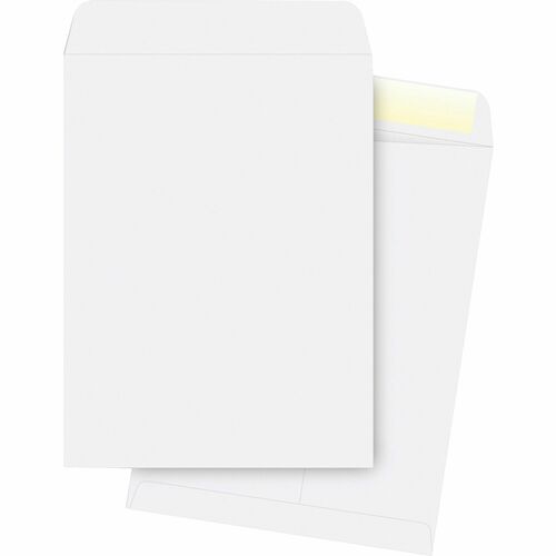 Catalog Envelopes, Plain, 28 Lb., 10" x 13", White 250/BX