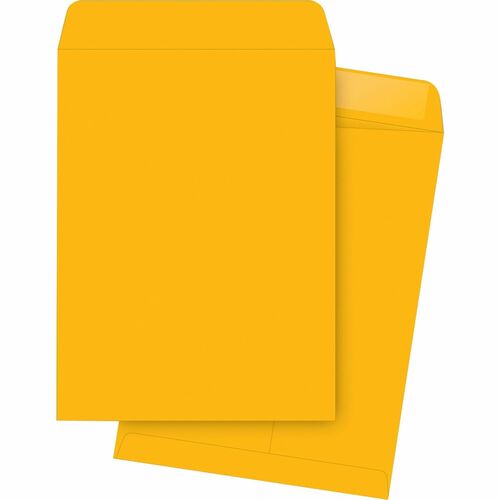 Catalog Envelopes, Plain, 10" x 15", Kraft 250/BX