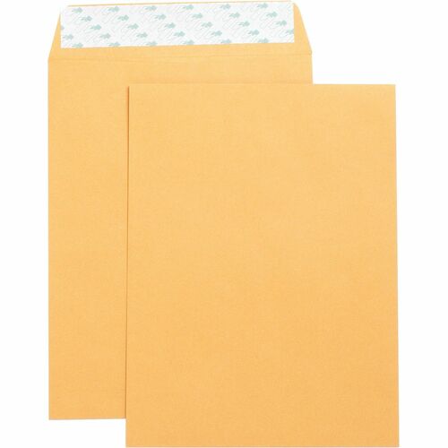 Envelope, Catalog, Self Seal, 9x12 250/BX