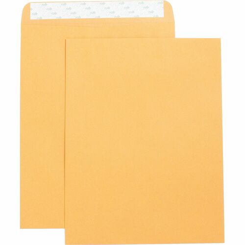 Envelope, Catalog, Self Seal, 10 X 13 250/BX