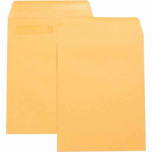 Envelope, Catalog, Self Seal, 9x12 100/BX
