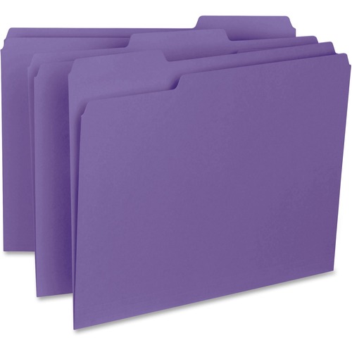 Folder, Interior, 1/3, Letter, PE 100/BX