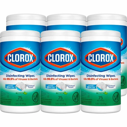 Wipes, Disinfecting, Fresh 6/CT