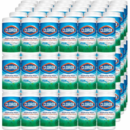 Wipes, Disinfecting, Fresh 480/PL