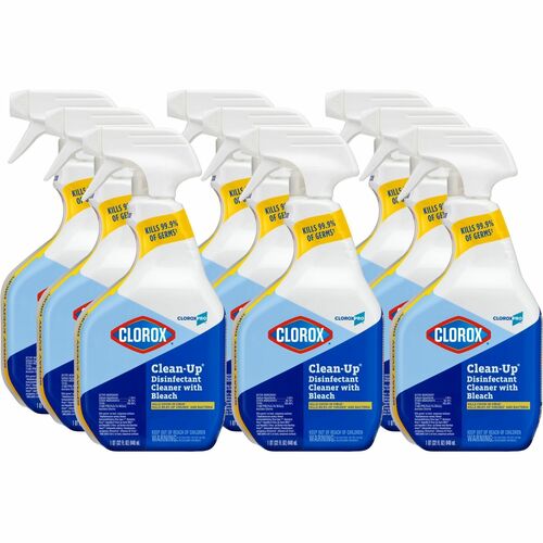 Cleaner, Disinfectant, Clean-Up, 32 Ounce 9/CT