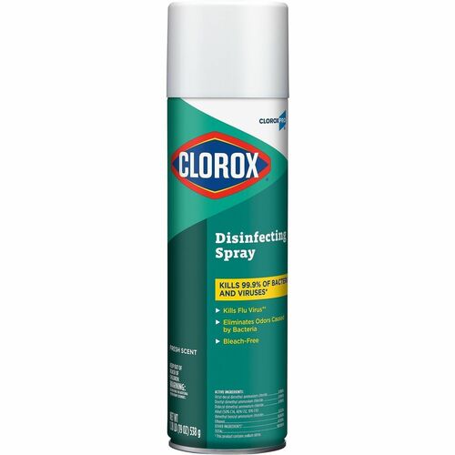 Disinfectant, Aerosol, 19 Ounce