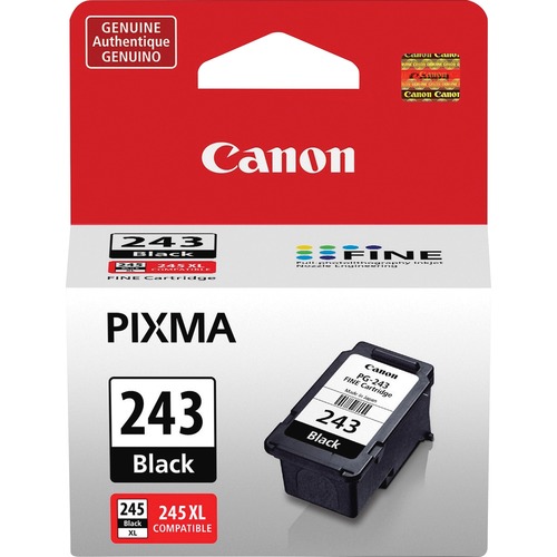 Cartridge, Ink, PG-243