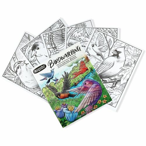 Clrgbk 40 Pgs Fgs Bird Watching