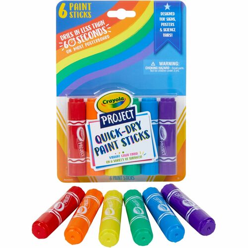 Project Quick Dry Paint 6/PK