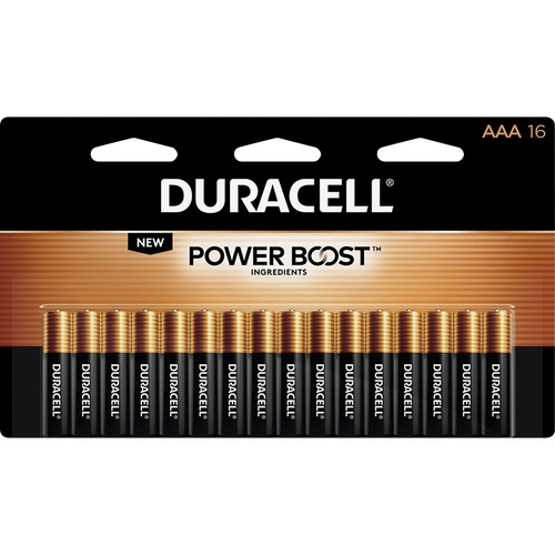 Battery, Coppertop, AAA 16/PK