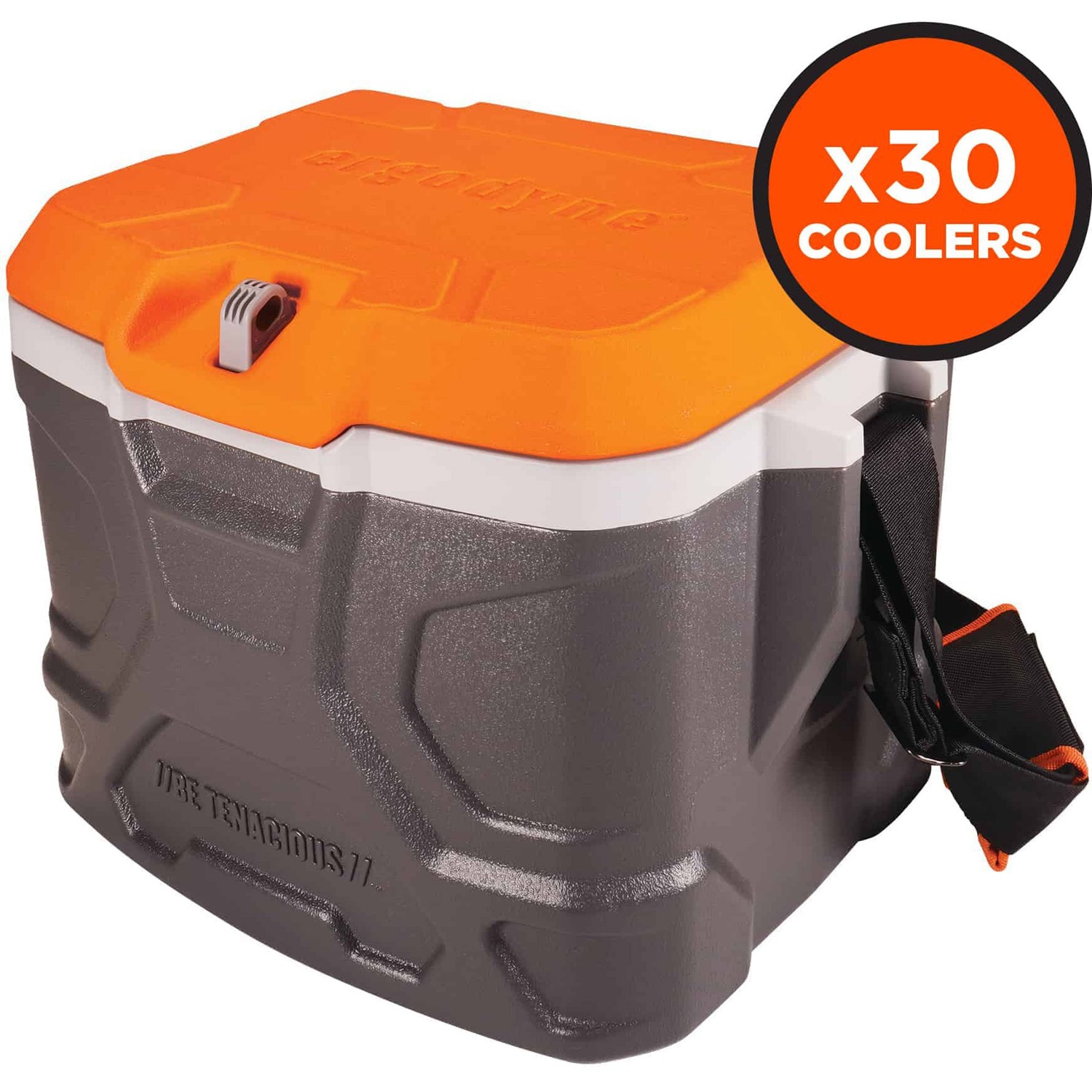Cooler 17 Qt 30/PL