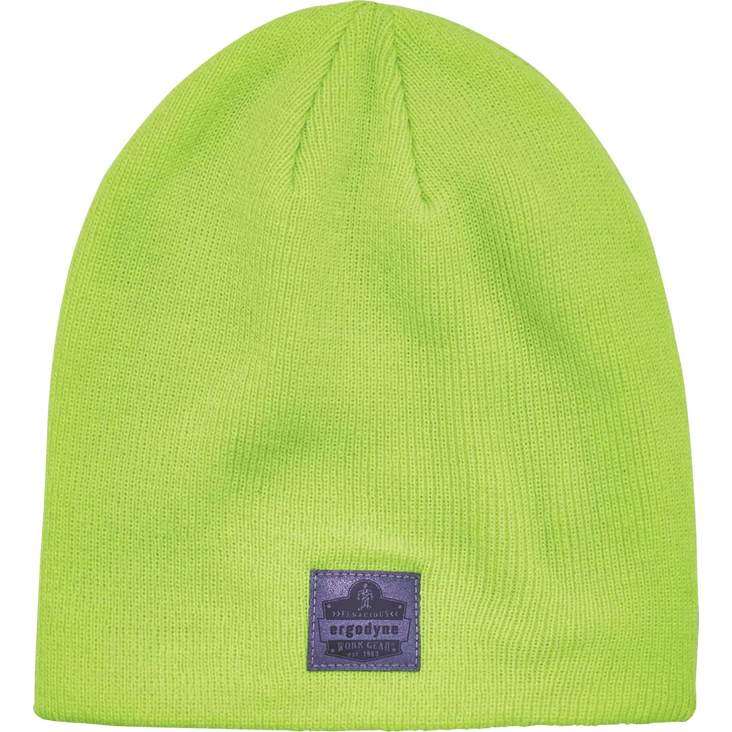 Ribbed Knit Beanie, Lime 6/CT