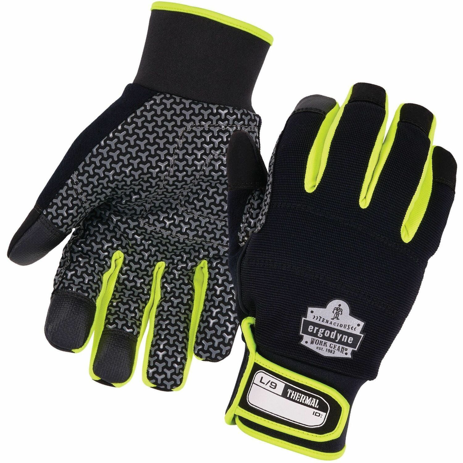 Glove, Insulated, Black, L 2/PR