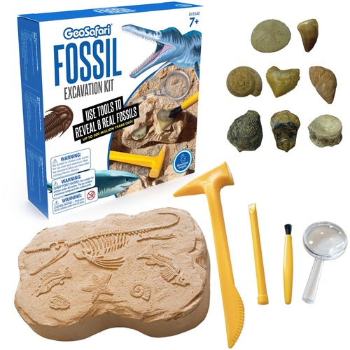 Fossil Kit, With Hammer/Chisel/8 Fossils, Ages 7+, Multi