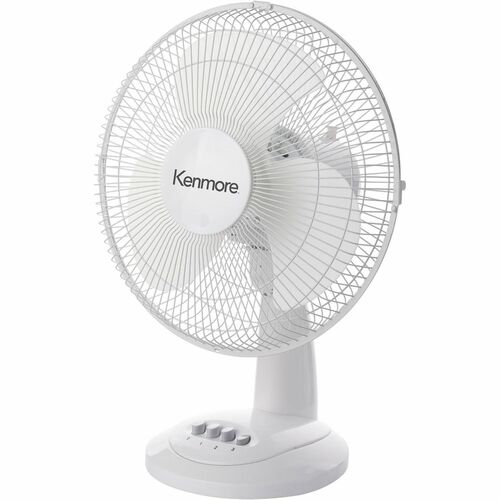 Fan, 12 Inch, Desk