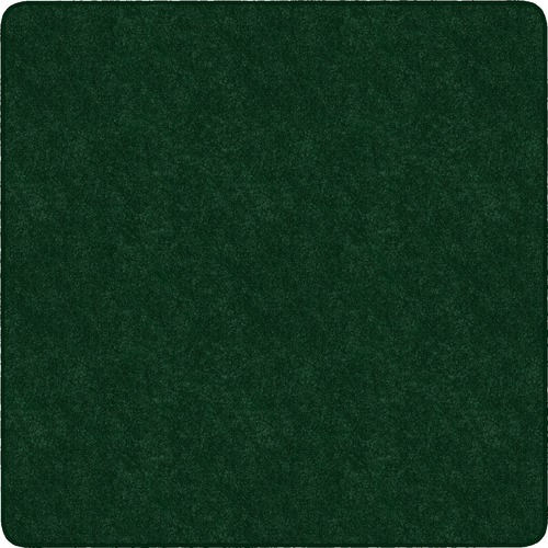 Rug, Square, Solid Color, Stain Resistant, 12' x 12', EGN