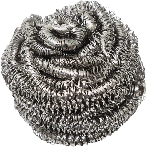Scrubber, For Appliances, Stainless Steel, 3" Dia x 1-3/4", SR 12/BX