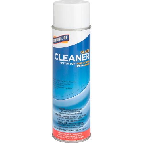 Cleaner, Glass, Aerosol, 19 Ounce