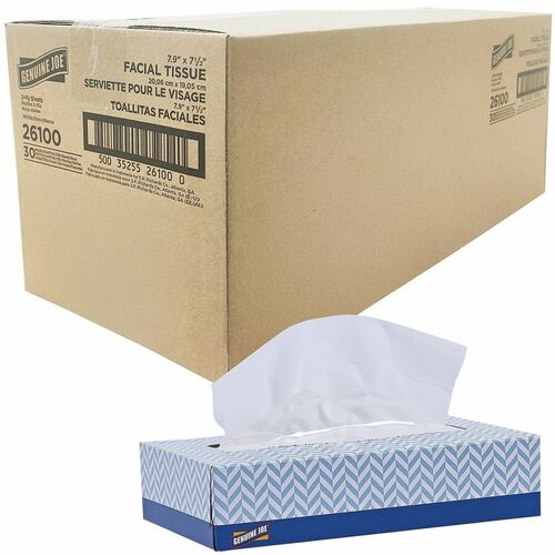 Facial Tissue, 2-Ply, Flat Box, White, 100 Sheets 30/CT