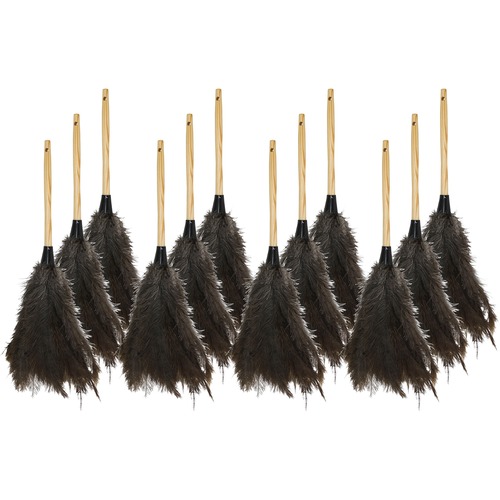 Feather Duster, 18", Brown 12/CT