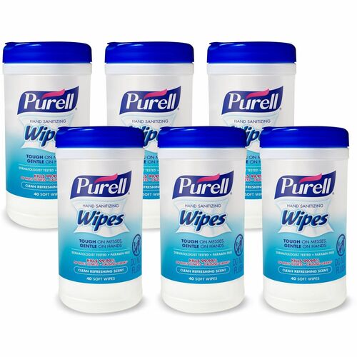 Hand Sanitizing Wipes, 40 Sheets, White 6/CT