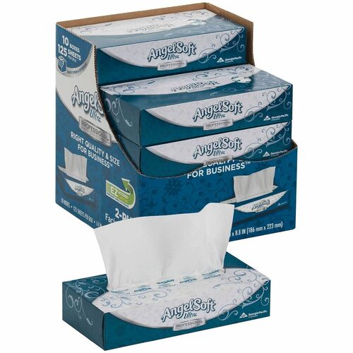 Facial Tissue White 10/CT
