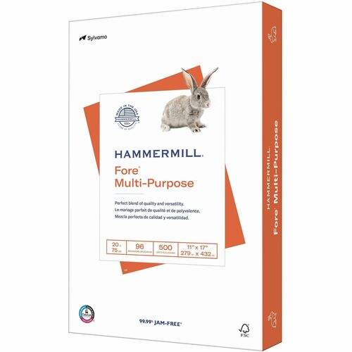 Paper, Multipurpose, 20#, 11x17 500/RM