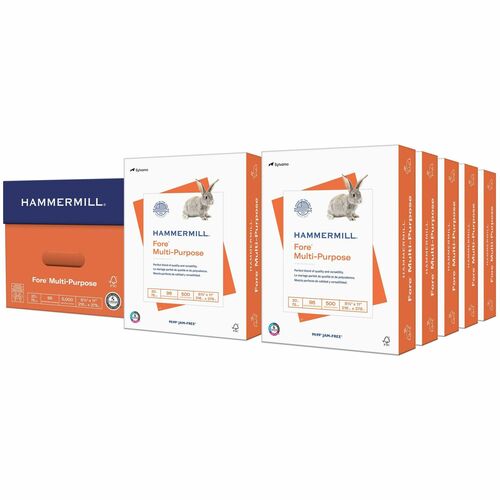Paper, Multipurpose, 20#, 8.5x11, 500 Reams 10/CT