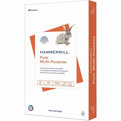 Paper, Multipurpose, 20#, 8.5x14 500/RM