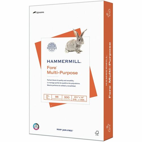 Paper, Multipurpose, 20#, 8.5x14, 500 Reams 10/CT